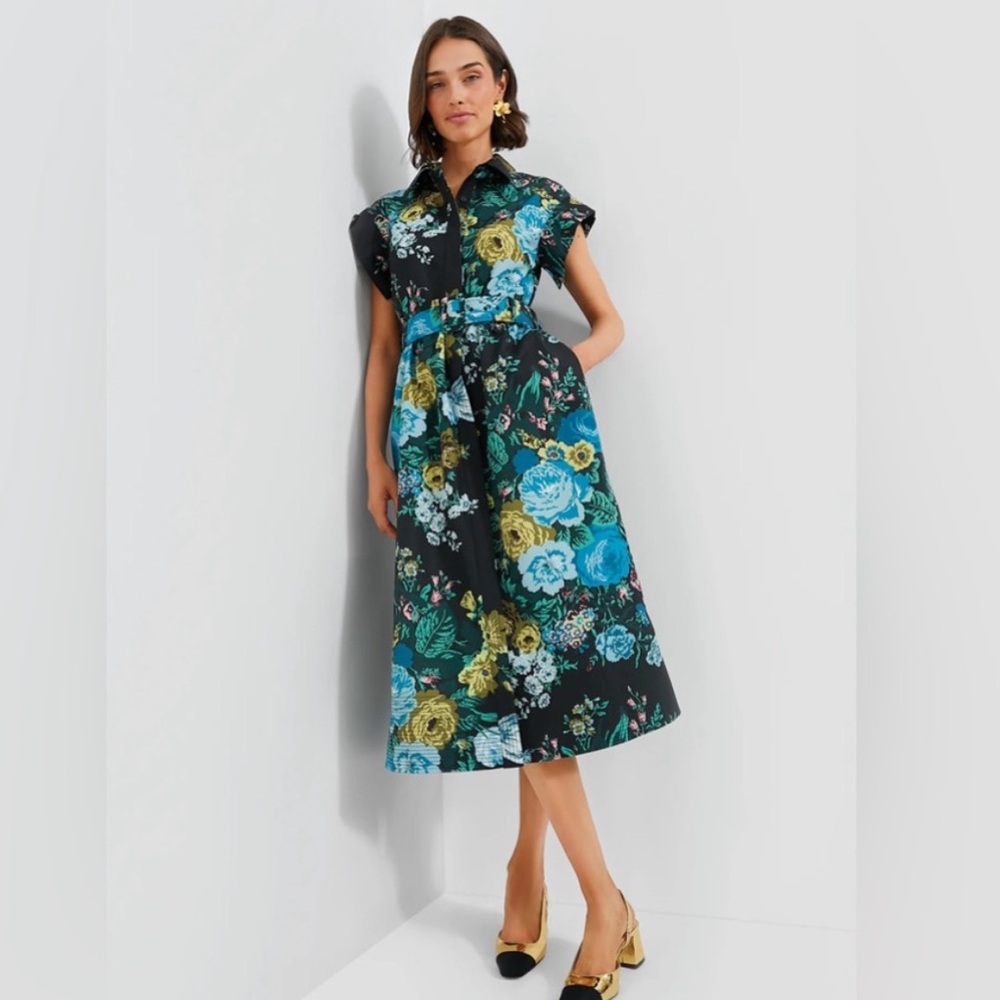 Tuckernuck Chloe Dress